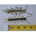 Centipede 3 Inch 12 Baits per Pack