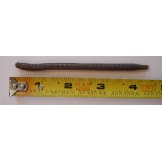 Thin Stick Bait 4.25 Inch 18 per pack